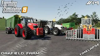 Selling so much silage | Animals on Oakfield Farm | Farming Simulator 19 | Episode 14