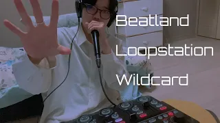 Masashi | Beatland Beatbox Battle Loopstation Wildcard #beatlandbattle | Nothing