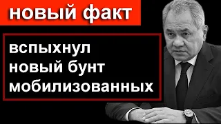 Очередной Бунт МОБИЛИЗОВАННЫХ // Люди не довольны //