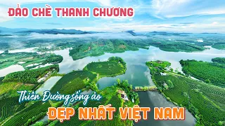 KHÁM PHÁ ĐẢO CHÈ THANH CHƯƠNG | Thiên đường đẹp nhất nơi Miền Tây xứ Nghệ