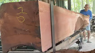 lembaran papan mahal 40cm proses penggergajian kayu mahoni