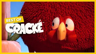 CRACKÉ - BIG FAT BIRD | Cartoon Animation | Compilation