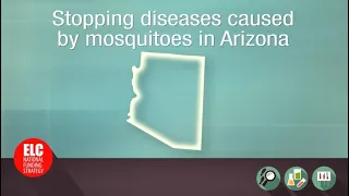 Stopping diseases caused by mosquitoes in Arizona