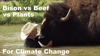 Bison vs Beef vs Plants for Climate Change.