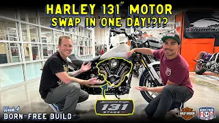 Swapping a Harley-Davidson 131" Motor in one day! Born-Free Build Week 4 - Vlog 72