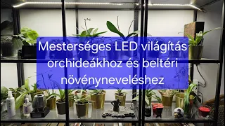 Mesterséges (LED) világítás orchideákhoz (és minden beltéri növényhez) egyszerűen