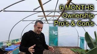 My thoughts On My Northern Polytunnel After 6 Months