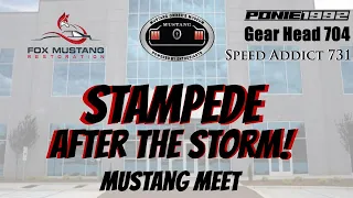 Mustang Week 2019 isn't over!