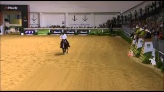 JEM 2014 : Andrea Fappani et son cheval Custom Cash Advance