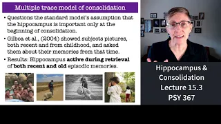 367 Lecture 15.3 The Hippocampus and Systems Consolidation