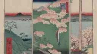 Cherry Blossom Viewing over the Centuries: Cherry Blossoms in Japanese Culture