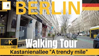 ► Walking in Berlin Mitte Kastanienallee | Berlin Germany【4K】Walking Tour