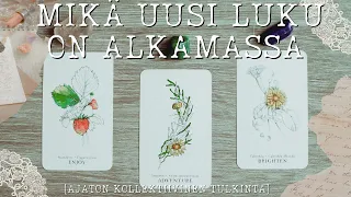 ✨ UUSI ALKU ON TÄSSÄ ✨ - MIKÄ UUSI LUKU ON ALKAMASSA ELÄMÄSSÄSI? [VALITSE KORTTI]