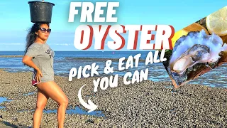 FREE OYSTER - PICK & EAT ALL YOU CAN
