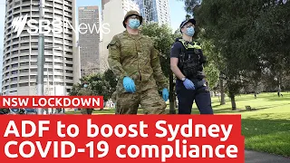 NSW seeks help from the Australian Defence Force | SBS News