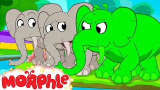 Orphle Plays Hide & Seek | Fun Animal Cartoons | @MorphleTV  | Learning for Kids