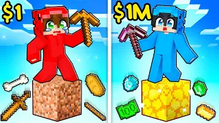 $1 vs $1,000,000 Minecraft ama Tek BLOK!