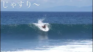 1日で湘南100日分