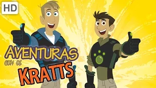 Aventuras com os Kratts (HD Português) - Compilation - Episódios Completos - 2 Horas!