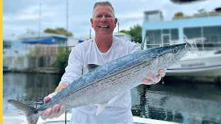 Record Cero Mackerel: Catch | Clean | Cook