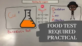 Food Tests Required Practical ~ GCSE Biology Paper 1