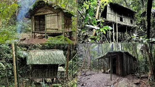 Visit Houses In The Wild Forest, Survival Instinct, Survival In The Tropical Rainforest, Episode 51