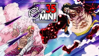 ONE PlECE 'DRESSROSA' ARC IN 35 MINUTEN