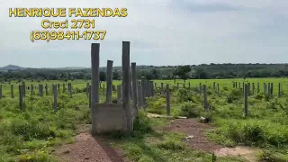 FAZENDA CULTURA 80 ALQUEIRES TOCANTINS