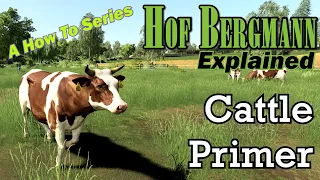 FS19 Hof Bergmann Explained - Cattle Primer - A How To Series