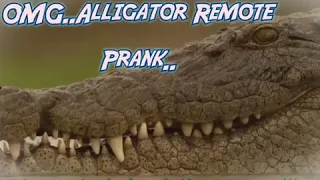 Alligator  Attack  Prank