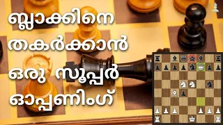 Belgrade Gambit !!! | A surprise weapon against Black | Chess Master Academy (Malayalam) |