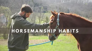 7 HABITS For Riding BARELY STARTED Horses.