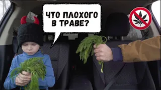 Что не так с профессией Курьера | Новые вайны • Лучшие приколы в машине, смешные дети, скетчи