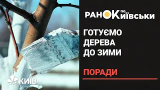 Підготовка саду до зими: як і чим побілити дерева восени