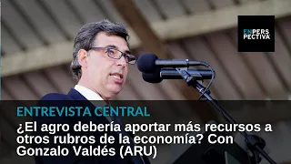 Gonzalo Valdés (ARU): Apoyamos subsidios para la ciencia, pero por "la sociedad toda, no una parte"