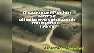 Cím: A szegvári Puskin MgTSz állattenyésztésének múltjából…. I. rész /Készült 2009-ben/