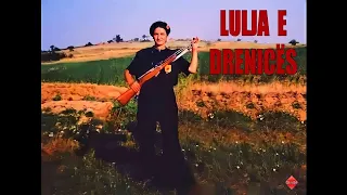 Shaqir Cërvadiku "Lulja e Drenicës"