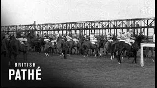 New Starting Stalls (1967)