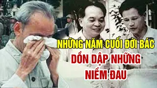 Gs Hoàng Chí Bảo Xúc Động Khi Kể Về Những Năm Cuối Đời Bác DỒN DẬP NHỮNG NIỀM ĐAU [Mới Nhất]