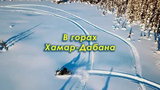 Горы Хамар-Дабан. Байкал. Снегоход.