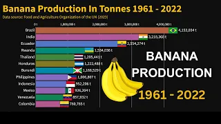 Banana Production by Country (1961-2022)