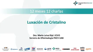 12 mesos 12 charlas. Luxación de cristalino en el perro.