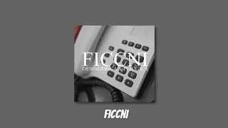 ficcni - speed up