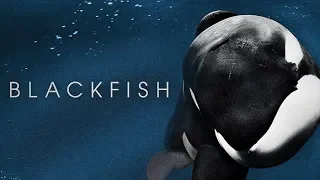 Blackfish (2013) Official Trailer - Magnolia Selects