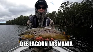 Trout Fishing Dee Lagoon I Tasmania