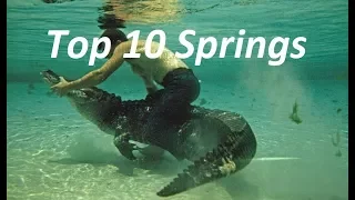 Top 10 Springs in Central Florida for Freediving and Snorkeling