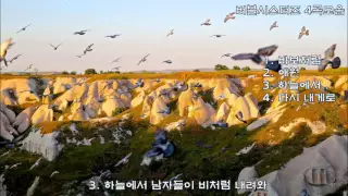 버블시스터즈 - 바보처럼 (외 3곡) kpop 韓國歌謠