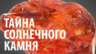 ТАЙНА СОЛНЕЧНОГО КАМНЯ. Ярослав Попов | Палеонтологические истории #004