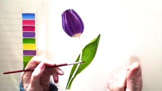 How to paint a watercolour tulip with Sandrine Maugy