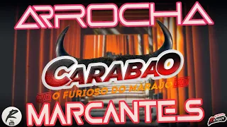 NOVO CARABAO ARROCHA MARCANTE 2022